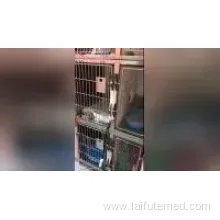 Stainless Steel Pet ICU Oxygen Cabin for Vet Hospitals